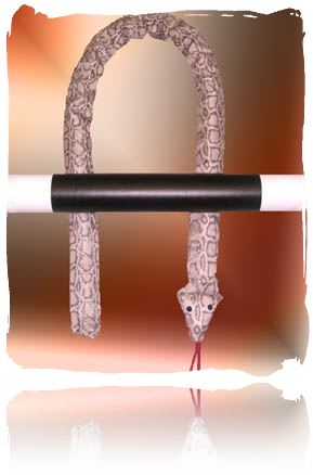 COLPO DI SCENA